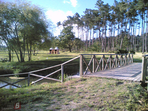 Parque do Lago em Maiorca: Jardim