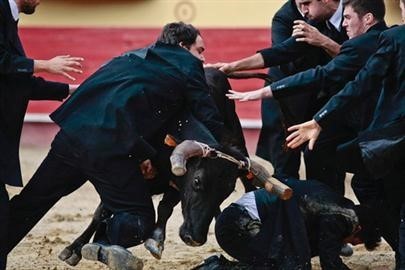 QUEIMA.jpg QUEIMA.jpg