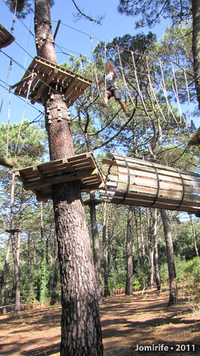 Parque Aventura: Lá no alto