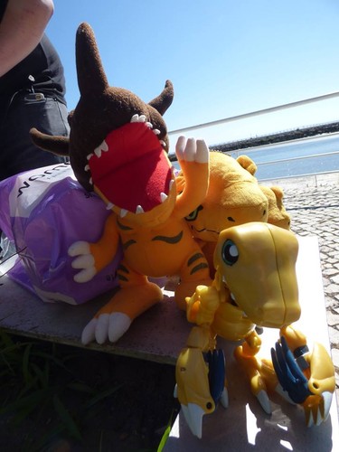 pokemon_lugia_soul_silver_hooh_2560x1600_animalhi.