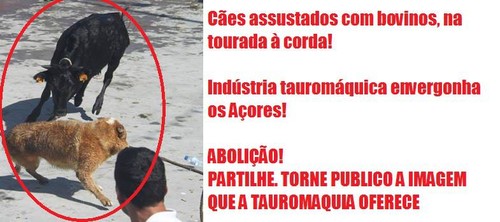 Olhar o vídeo para deixar de fumar