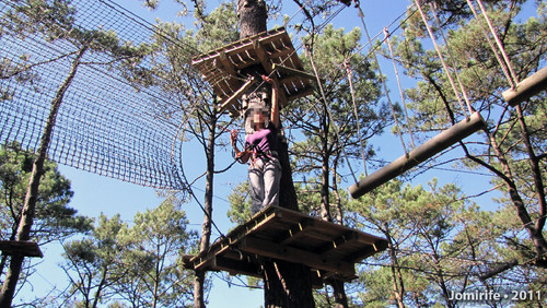 Parque Aventura: Adeus lá do alto