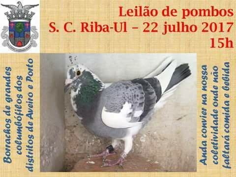Leilão Riba-Ul.jpg Leilão Riba-Ul.jpg