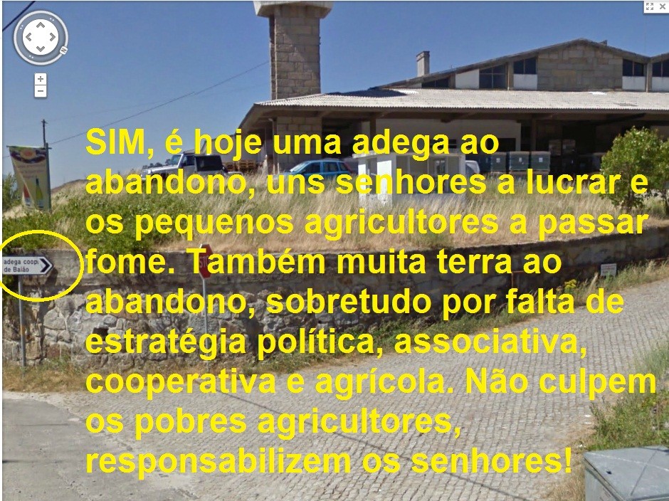 baião, agricultura, adega,cooperativismo,associativismo