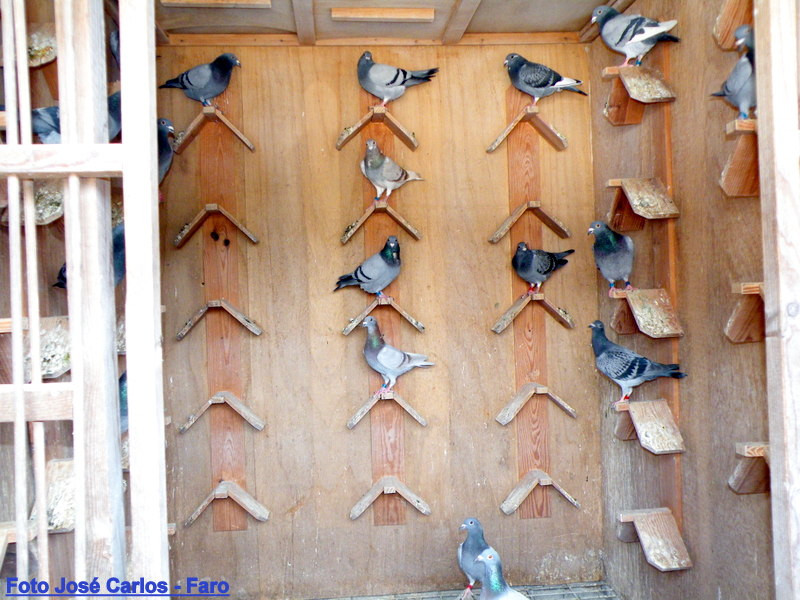 Lagos 021.JPG Lagos 021.JPG