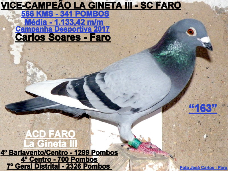 Carlos Soares - Faro 002.JPG