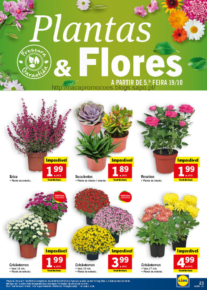 lidl folheto_Page31.jpg