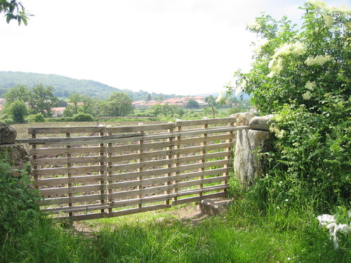 Tourém