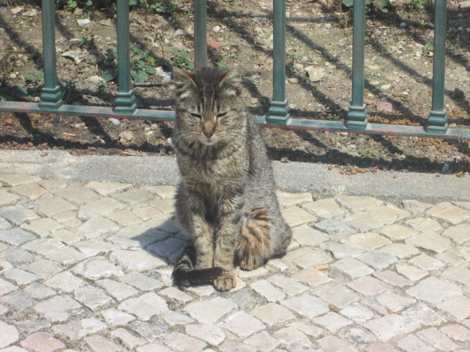 IMG_7390.JPG IMG_7390.JPG