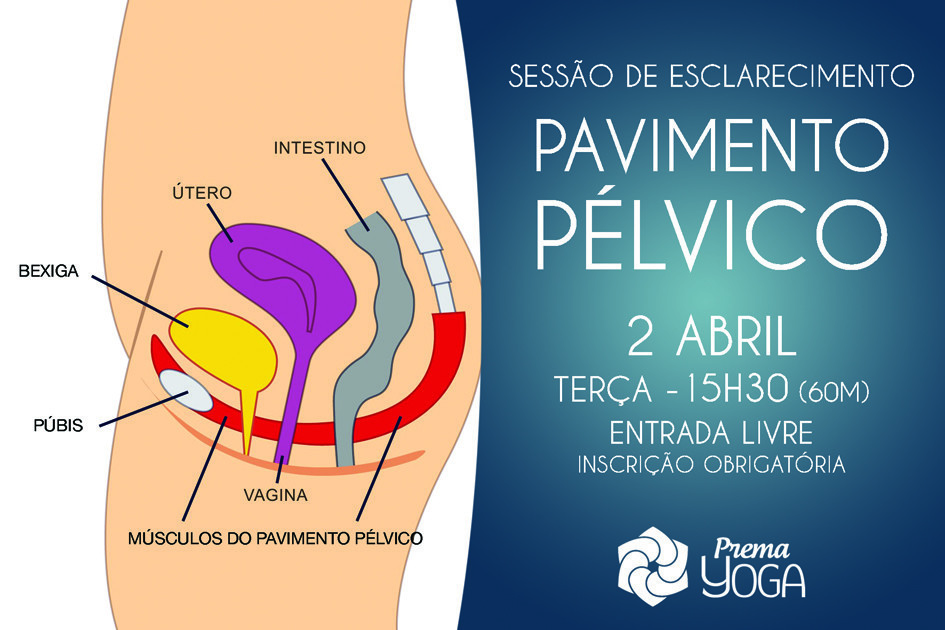 SESSÃO PAVIMENTO PELVICO.jpg