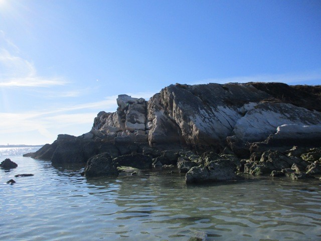 241077248_341002491072157_8595704585436058056_n.jp