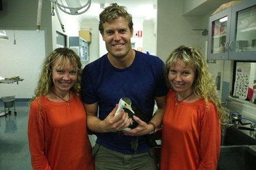 Bondi Vet.jpg Bondi Vet.jpg