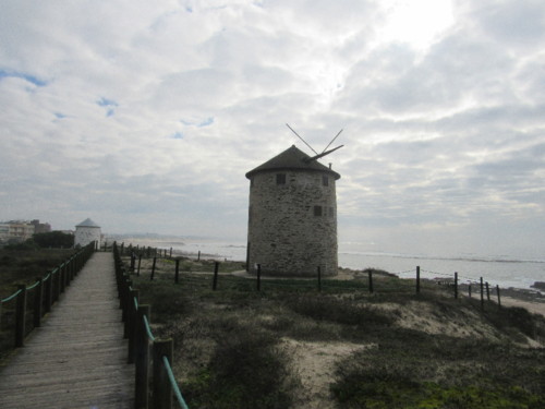 IMG_5345.JPG