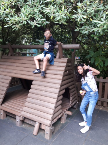 20180725_122240.jpg 20180725_122240.jpg