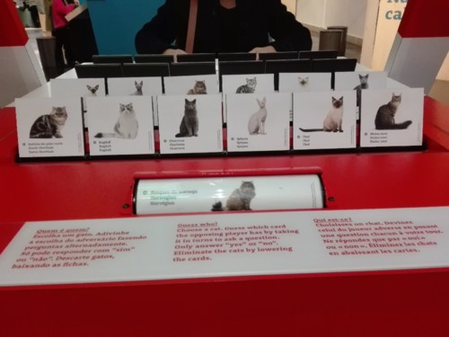 IMG_20190120_132347 (1).jpg