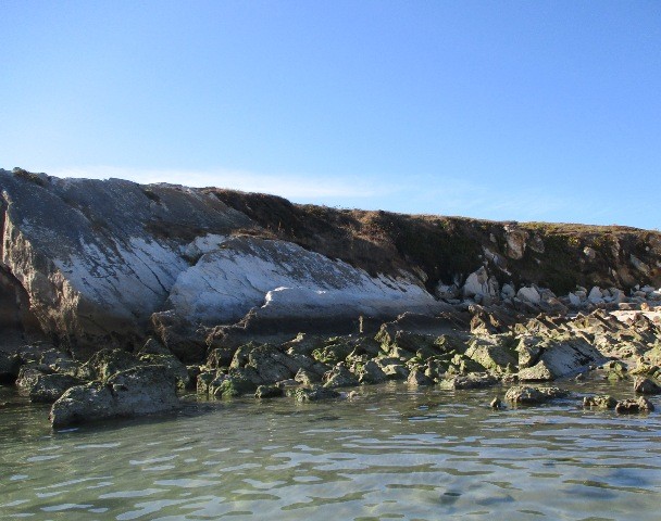 241071813_881468429137965_5065688003905232650_n.jp