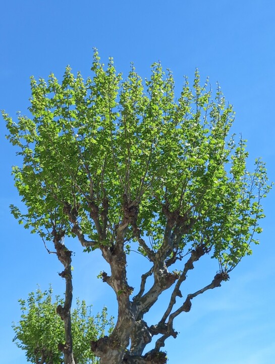 434601861_7341829065932335_6476877845311384115_n.j