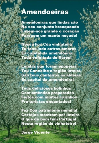 Amendoeiras..jpg Amendoeiras..jpg