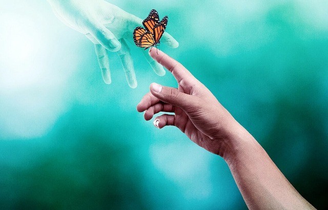 186316619_3896345297147413_5910789176050400062_n.j