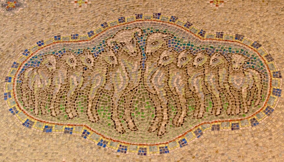 sheep-lambs-mosaic.jpg