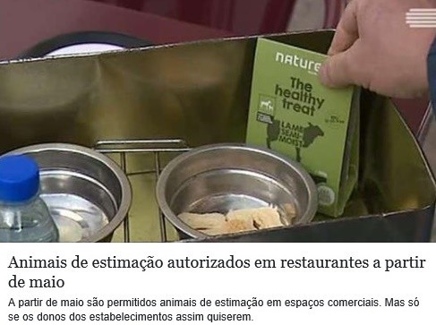 cães 10fev2018.jpg cães 10fev2018.jpg