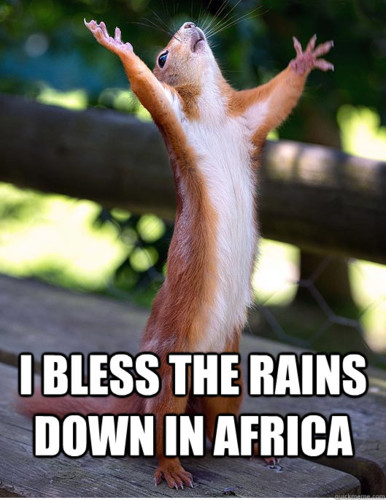 i bless the rains.jpg
