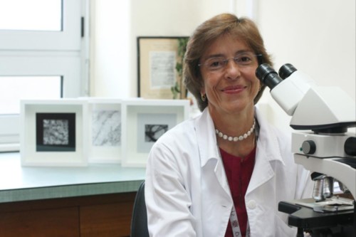 fatima carneiro.JPG fatima carneiro.JPG