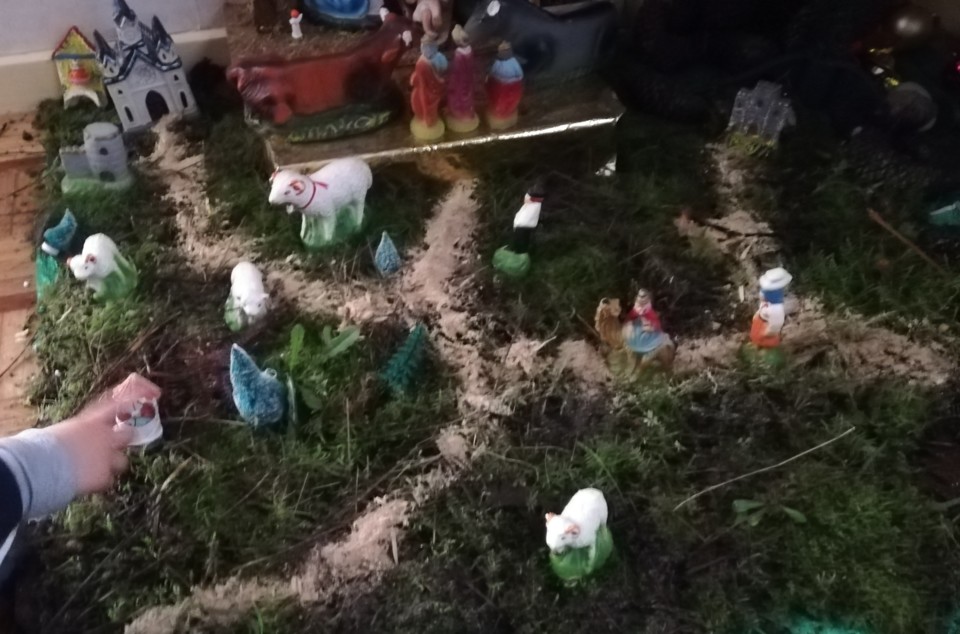 IMG_20201206_152125.jpg