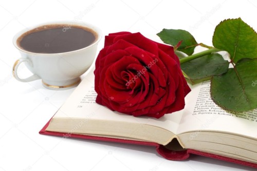 depositphotos_45211443-stock-photo-open-book-with- depositphotos_45211443-stock-photo-open-book-with-