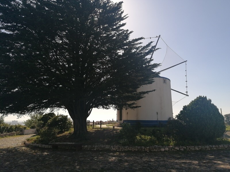 moinho19.jpg