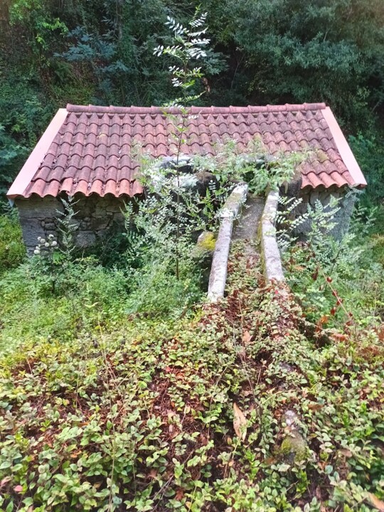 Não me canso disto_caminhada1.jpg