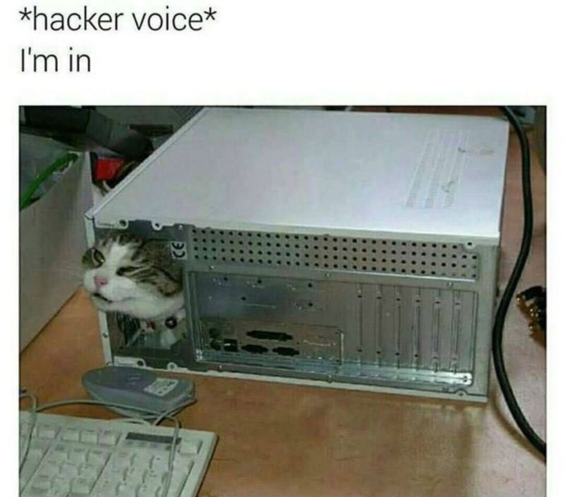 cat-meme-74.jpg