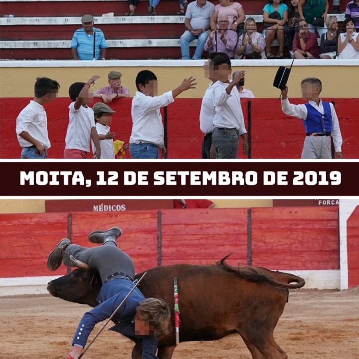 MOITA.jpg MOITA.jpg