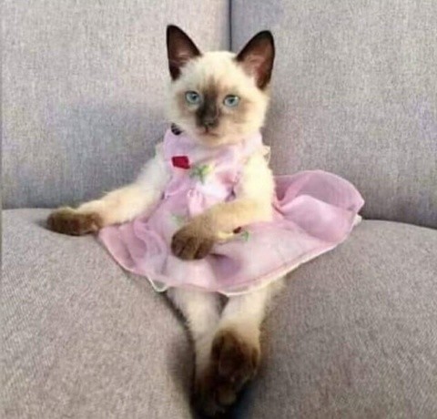 167157233_4281789988509201_8763934732483058437_n.j