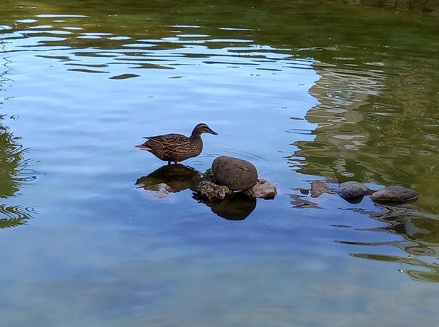 336758153_3032539790383969_4475877822806072637_n.j