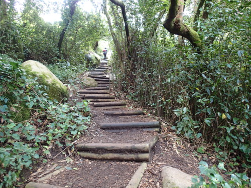 P4040936.JPG