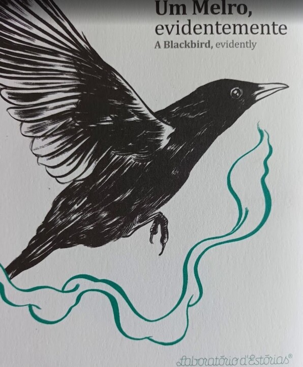 Não me canso disto melro2.jpg