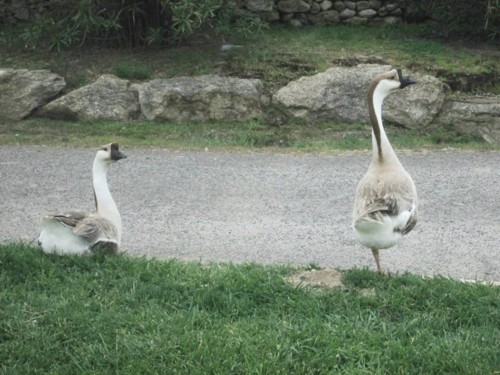 32974816_1652198114895487_6271094337438744576_n.jp