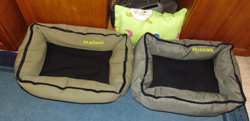 camasgatos002.JPG