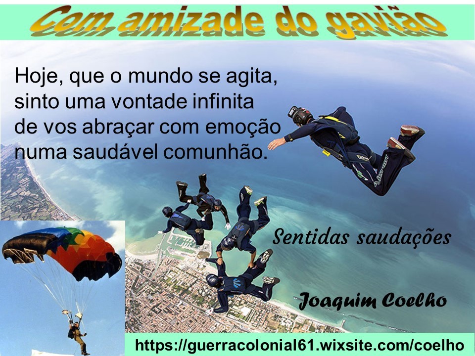....Coelho-amizade do gavião.jpg