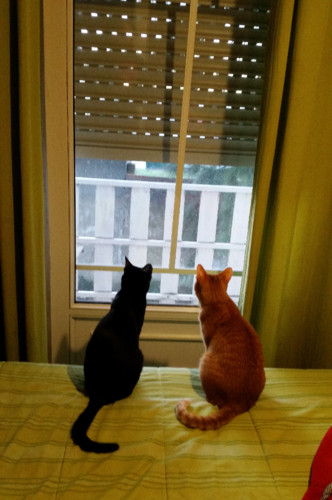 mundo-la-fora.jpg mundo-la-fora.jpg