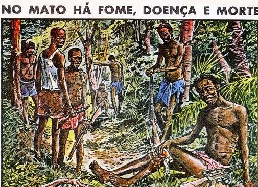 mato.jpg