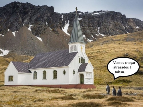 pinguins.jpg pinguins.jpg