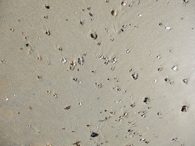 240892955_1248083988948197_2626791984963547608_n.j