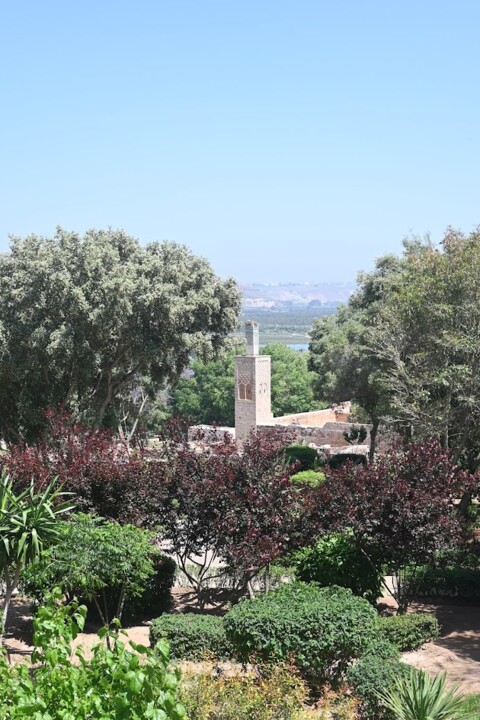 Não me canso disto RAbat2.JPG
