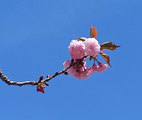 20230420_141400 (1).jpg