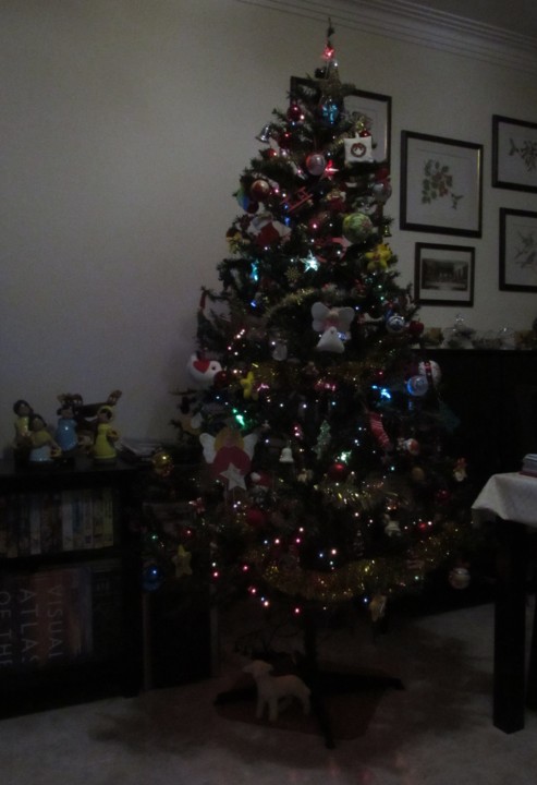 IMG_7008.JPG IMG_7008.JPG