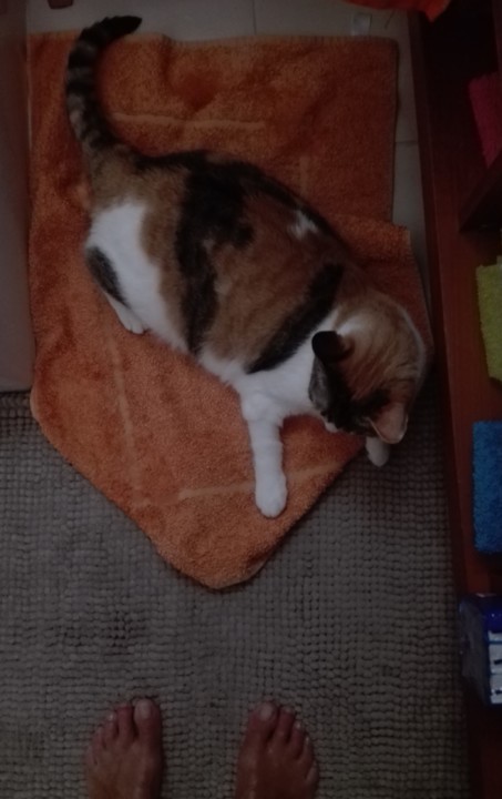 IMG_20190821_163224 (2).jpg