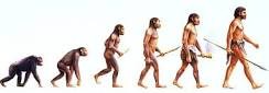 Teoria da Evolução.jpg