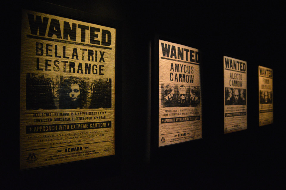 ExpHarryPotter_Mar2020-48.jpg